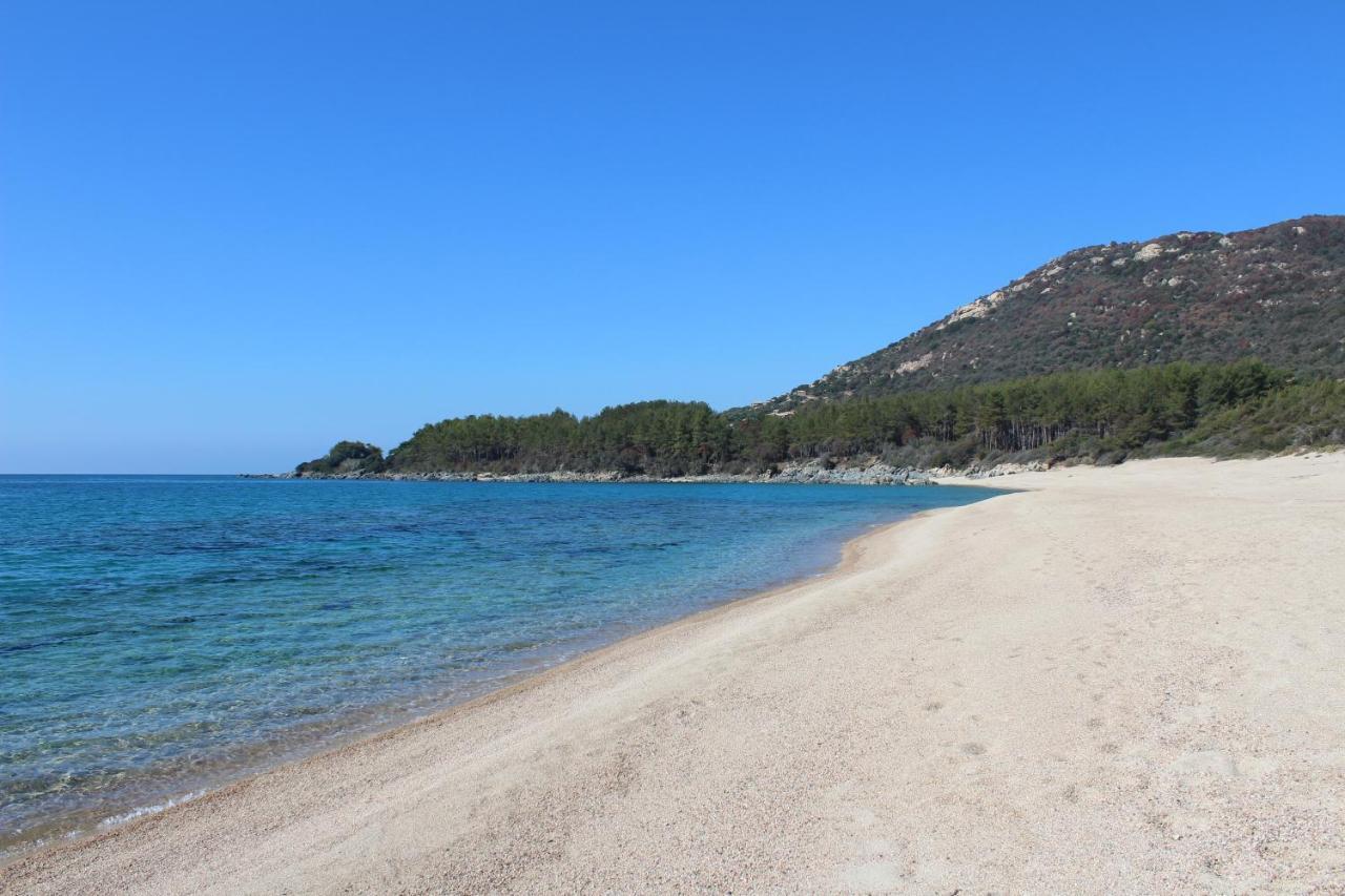 Villas Valinco San Martinu Corse Du Sud - Vue Et Proche Mer - Piscines-7 Chambres أولميتو المظهر الخارجي الصورة