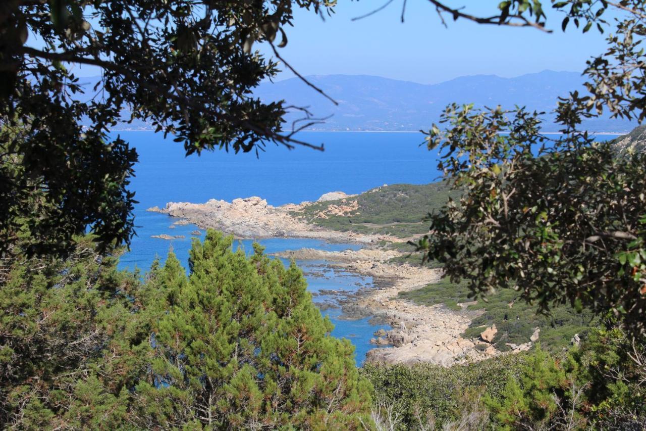 Villas Valinco San Martinu Corse Du Sud - Vue Et Proche Mer - Piscines-7 Chambres أولميتو المظهر الخارجي الصورة