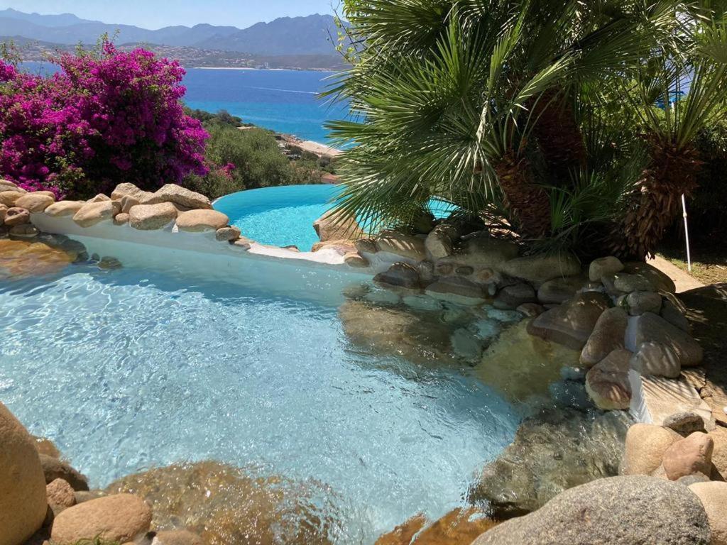 Villas Valinco San Martinu Corse Du Sud - Vue Et Proche Mer - Piscines-7 Chambres أولميتو المظهر الخارجي الصورة
